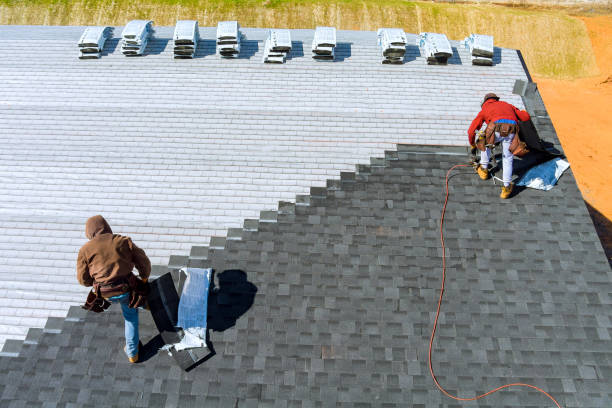 Best Storm Damage Roof Repair  in Winnebago, MN