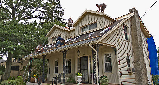 Best Slate Roofing Contractor  in Winnebago, MN