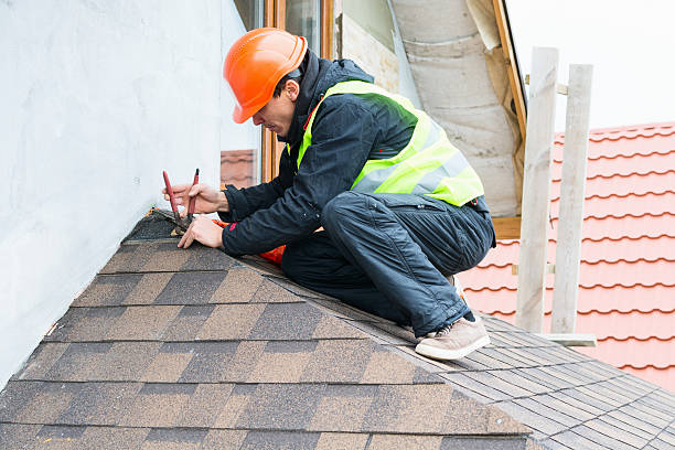 Best New Roof Installation  in Winnebago, MN